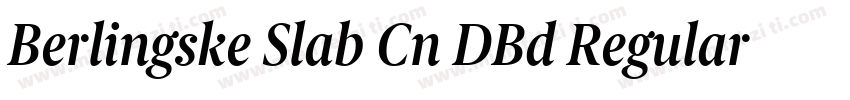 Berlingske Slab Cn DBd Regular字体转换